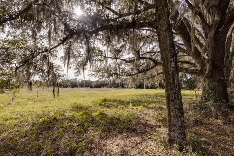 Terrain à vendre à Ocala, Floride № 1108365 - photo 5