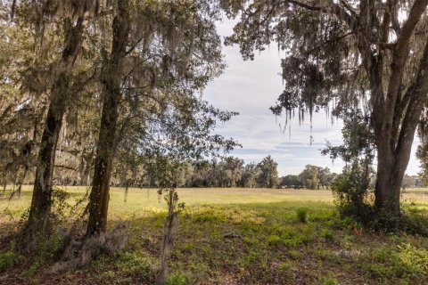 Terreno en venta en Ocala, Florida № 1108365 - foto 3