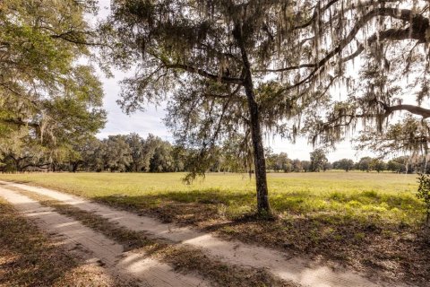 Terrain à vendre à Ocala, Floride № 1108365 - photo 6