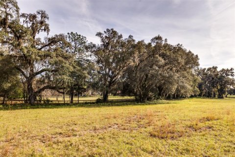 Terrain à vendre à Ocala, Floride № 1108365 - photo 8