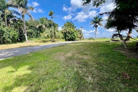 Land in Pahokee, Florida № 1101213 - photo 6