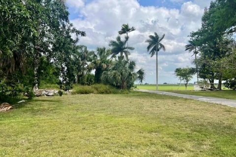 Land in Pahokee, Florida № 1101213 - photo 8