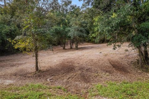 Terreno en venta en Dunnellon, Florida № 1419440 - foto 13