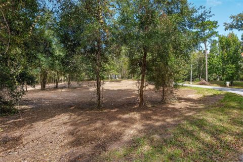 Terreno en venta en Dunnellon, Florida № 1419440 - foto 8