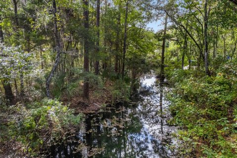 Terreno en venta en Dunnellon, Florida № 1419440 - foto 4