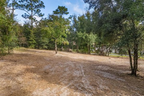 Terreno en venta en Dunnellon, Florida № 1419440 - foto 11