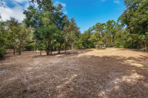 Terreno en venta en Dunnellon, Florida № 1419440 - foto 17