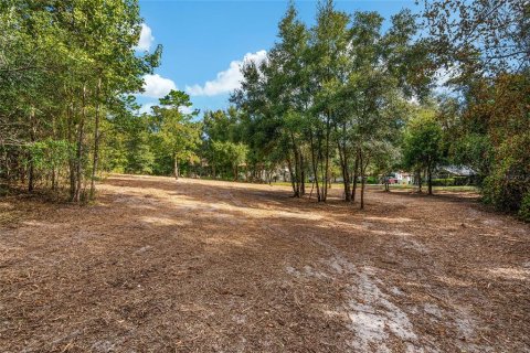 Terreno en venta en Dunnellon, Florida № 1419440 - foto 19