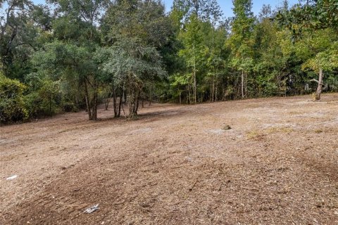 Terreno en venta en Dunnellon, Florida № 1419440 - foto 10