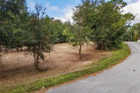 Terreno en venta en Dunnellon, Florida № 1419440 - foto 15