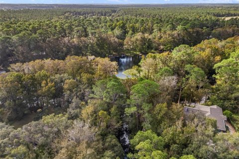 Terreno en venta en Dunnellon, Florida № 1419440 - foto 24