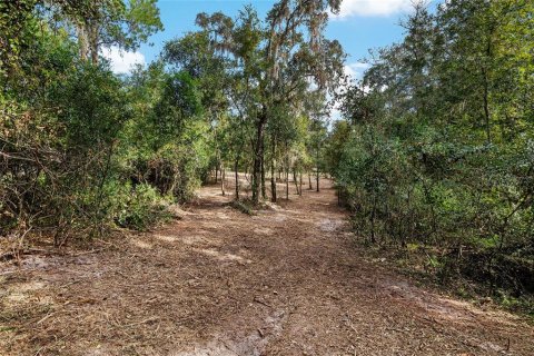 Terreno en venta en Dunnellon, Florida № 1419440 - foto 14