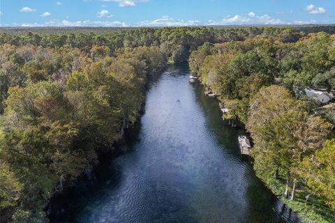 Terreno en venta en Dunnellon, Florida № 1419440 - foto 6