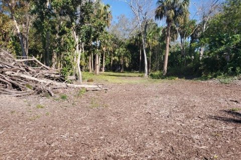 Terrain à vendre à LaBelle, Floride № 1123852 - photo 6