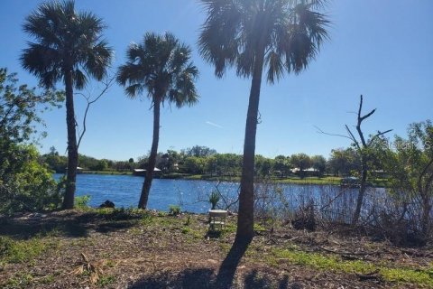 Terrain à vendre à LaBelle, Floride № 1123852 - photo 3