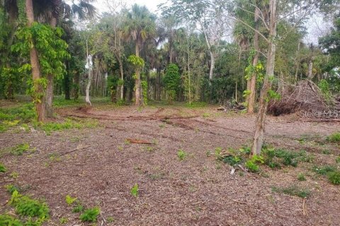 Terrain à vendre à LaBelle, Floride № 1123852 - photo 9
