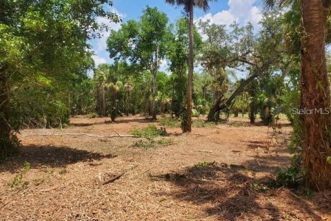 Купить земельный участок в Лабель, Флорида № 1123852 - фото 10