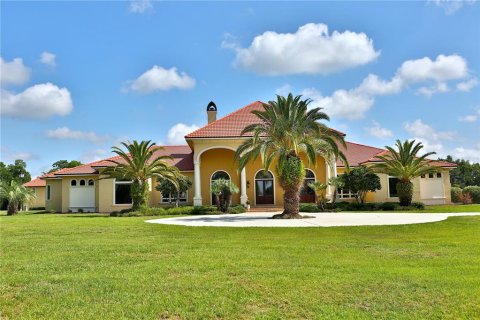 Villa ou maison à vendre à Ocala, Floride: 3 chambres, 768.02 m2 № 1430976 - photo 3