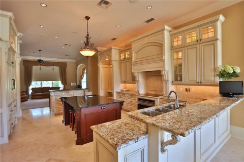 Villa ou maison à vendre à Ocala, Floride: 3 chambres, 768.02 m2 № 1430976 - photo 13