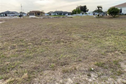 Land in Cape Coral, Florida № 362804 - photo 2