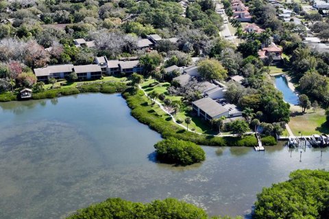 Condo in Sarasota, Florida, 2 bedrooms  № 214792 - photo 23