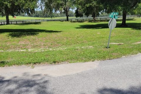 Terreno en venta en Ocala, Florida № 1366013 - foto 1