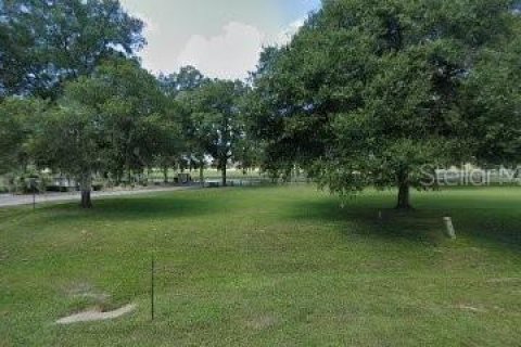 Terreno en venta en Ocala, Florida № 1366013 - foto 2