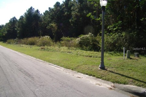 Terreno en venta en Brooksville, Florida № 1419449 - foto 1