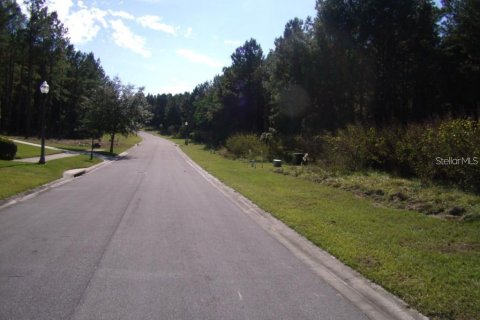 Terreno en venta en Brooksville, Florida № 1419449 - foto 3