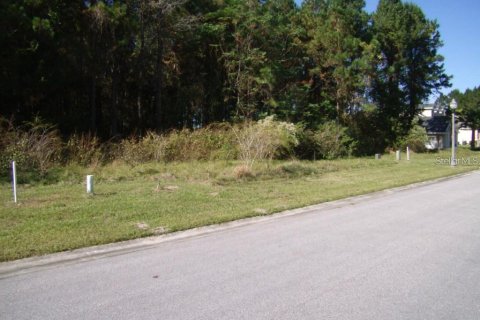 Terreno en venta en Brooksville, Florida № 1419449 - foto 2