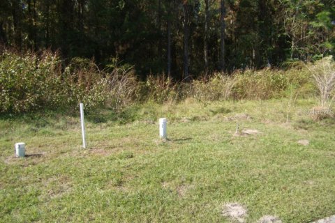 Terreno en venta en Brooksville, Florida № 1419449 - foto 4