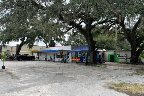 Immobilier commercial à vendre à Zephyrhills, Floride: 796.17 m2 № 1321861 - photo 1