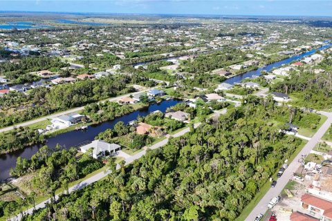 Land in Port Charlotte, Florida № 1314303 - photo 14