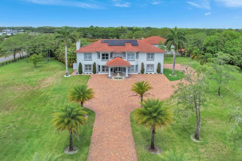 Villa ou maison à vendre à Loxahatchee Groves, Floride: 6 chambres, 588.44 m2 № 1178427 - photo 6