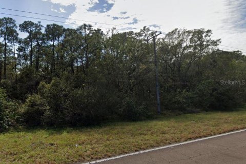 Land in Ruskin, Florida № 1308686 - photo 2