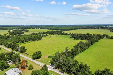 Land in Trenton, Florida № 1314710 - photo 17