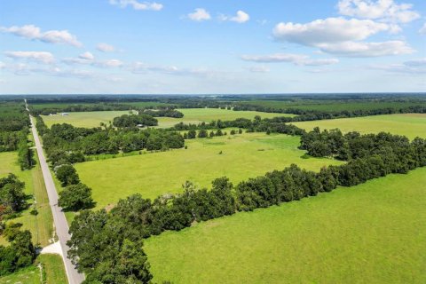 Land in Trenton, Florida № 1314710 - photo 18