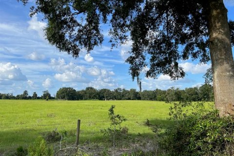 Land in Trenton, Florida № 1314710 - photo 1