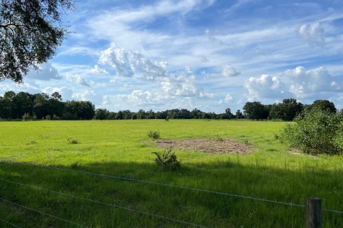 Land in Trenton, Florida № 1314710 - photo 27