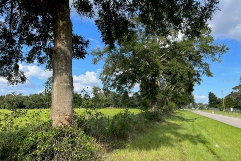 Terreno en venta en Trenton, Florida № 1314710 - foto 25