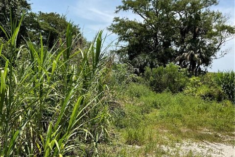 Купить земельный участок в Окичоби, Флорида № 609032 - фото 6