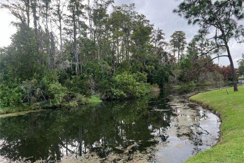 Condo in New Port Richey, Florida, 1 bedroom  № 1385346 - photo 23