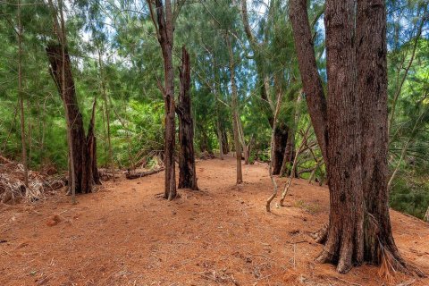 Terreno en venta en Bradenton, Florida № 1277713 - foto 8