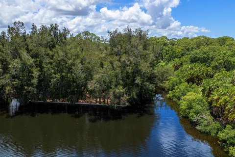 Land in Bradenton, Florida № 1277713 - photo 3