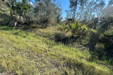 Terreno en venta en Port Charlotte, Florida № 811450 - foto 4