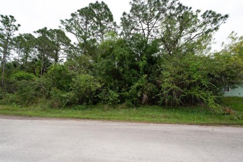 Купить земельный участок в Палм-Бей, Флорида № 1105466 - фото 1