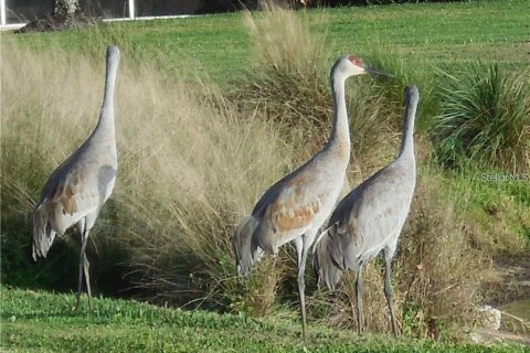 Condo in Punta Gorda, Florida, 2 bedrooms  № 916212 - photo 23