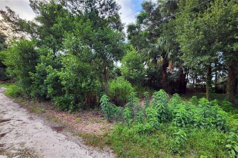 Land in Mount Plymouth, Florida № 1317911 - photo 4