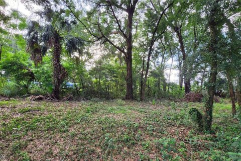 Terreno en venta en Mount Plymouth, Florida № 1317911 - foto 6