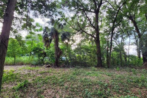 Terreno en venta en Mount Plymouth, Florida № 1317911 - foto 5